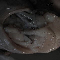 Croatian Amor - Refugee Turns to Safety