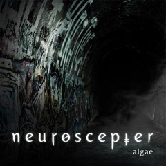 Algae