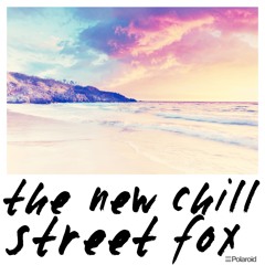 The New Chill (Street Fox Mix)