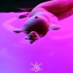 High Tide {prod. SMASHXXXR}