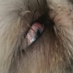 StaxREMIX Silk Drop "Closer"