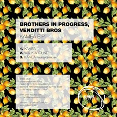 Brothers In Progress, Venditti Bros - Kamea (Philip Bader Remix)