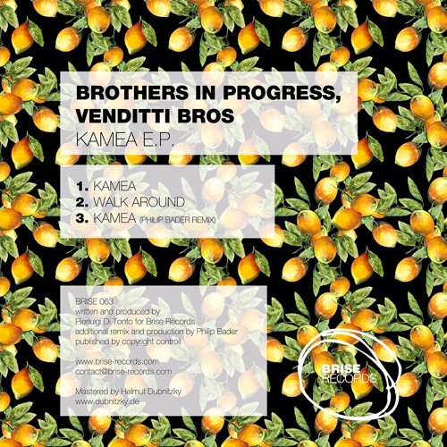 Brothers In Progress, Venditti Bros - Kamea (Philip Bader Remix)