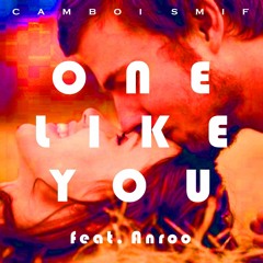 One Like You (feat. Anroo)