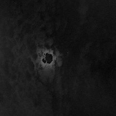 "birds in the theater sing macbeth"