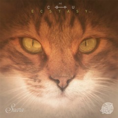 Premiere: Coyu - Ecstasy feat. Juliet Fox (Wait And See Mix)
