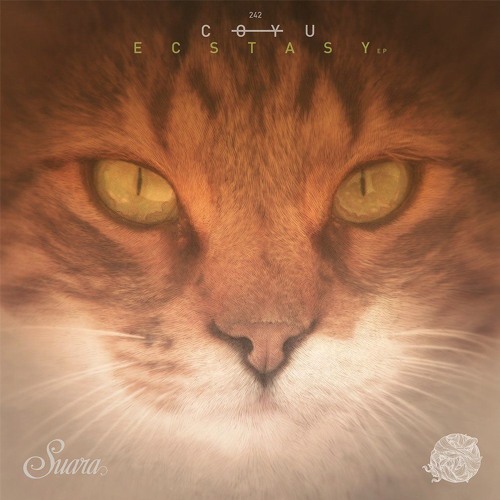 Premiere: Coyu - Ecstasy feat. Juliet Fox (Wait And See Mix)
