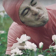 PINK GUY - STFU