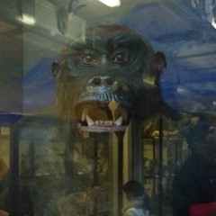 Indie Cool Pretty Of Today Are Plastic Surgery Disasters Of Tomorrow