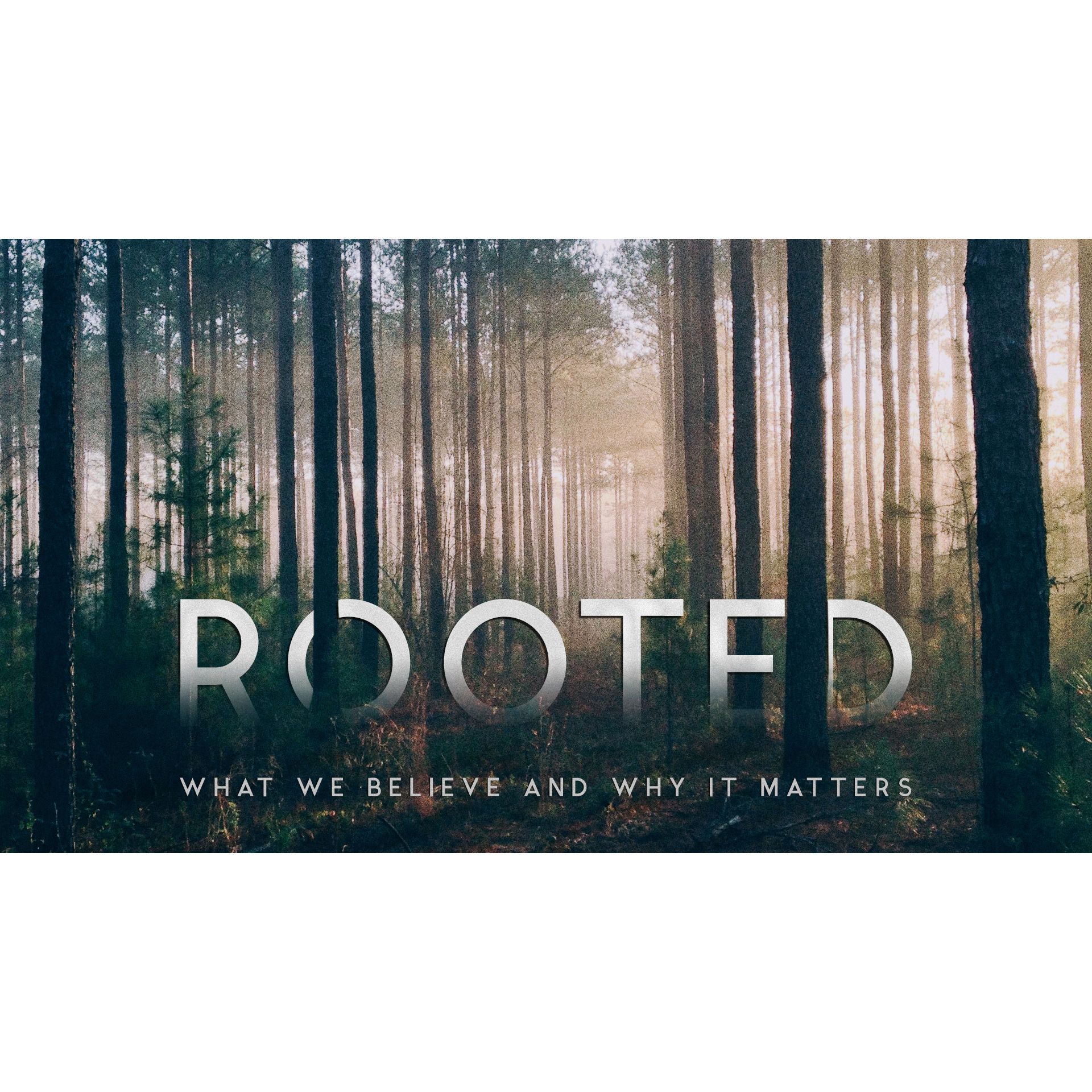Rooted - How Does God Speak To Us - September 11, 2016 episode artwork