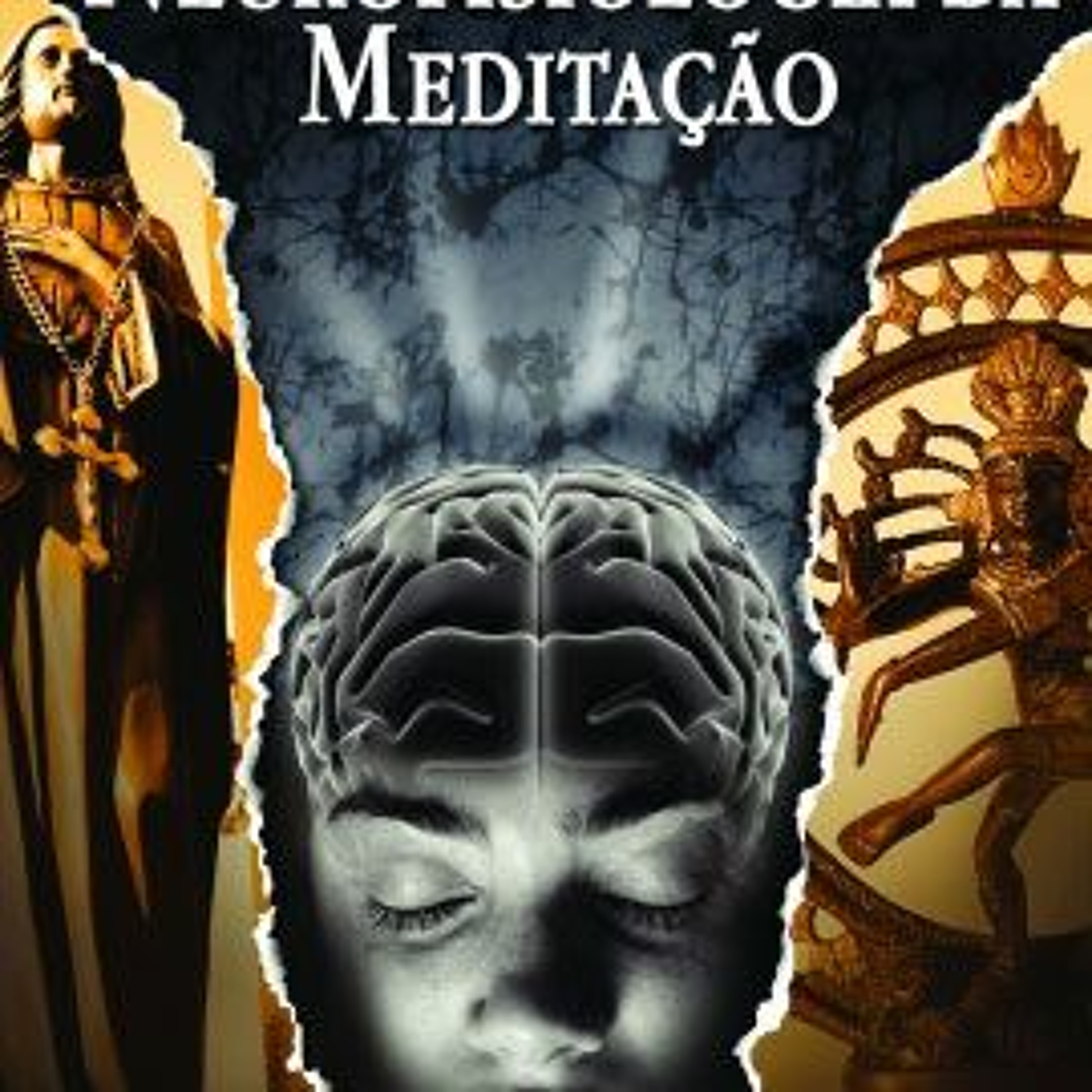 Aula 8 - Yoga e Meditacao na Ciência