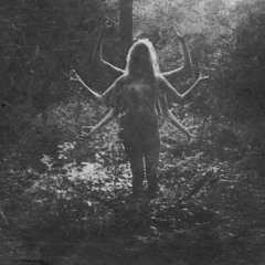 Opium Den Frequency Warp