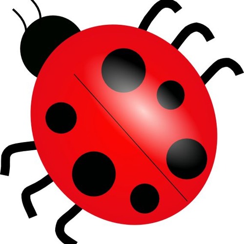 Lady Bug
