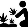 POPCAAN - WEED IS MY BEST FRIEND - LIFE SUPPORT RIDDIM - JA PRODUCTIONS.mp3