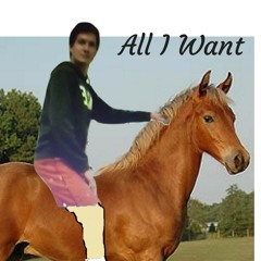 ALL I WANT