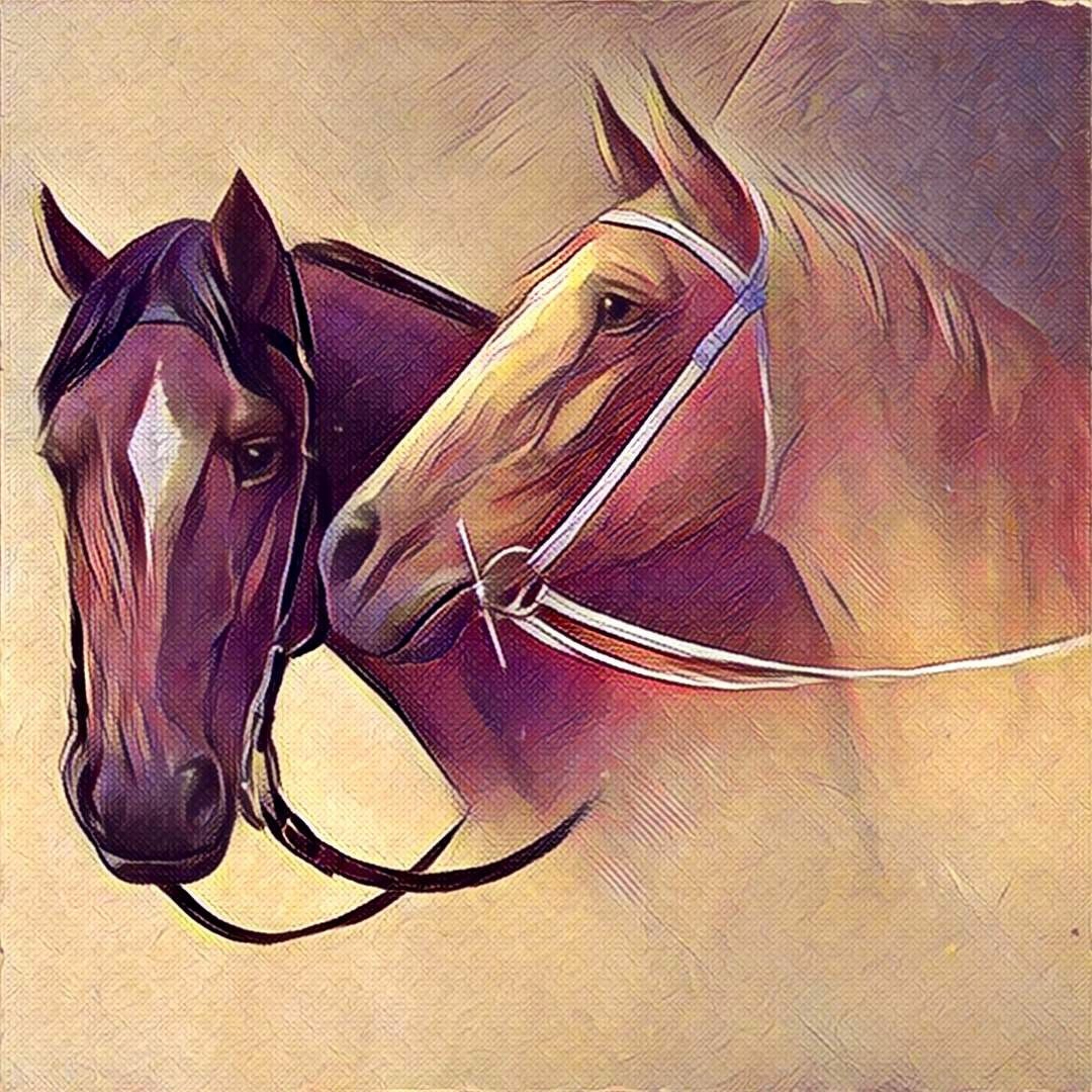 12. horse episode artwork