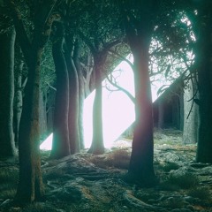 Mystic Mind - Expander