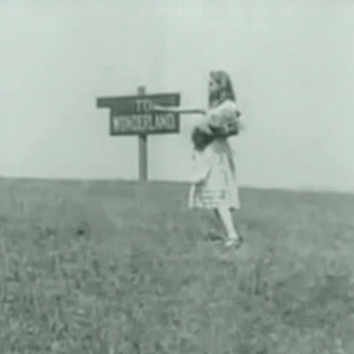 White Rabbit (jefferson Airplane Cover)