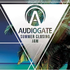 Patrick Winter @ Audiogate Summer Closing 2016