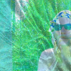 Magic Forest