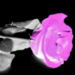 Purple Rose vol.1  (techno mixtape 24.09.2016)