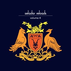Several Definitions - Near From You (Framewerk Remix) [Selador] // OUT NOW