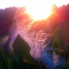 LAKE (Adam: Guitar, Vocals & Composing Mirjam: Piano, Doublebass, Percussion & Vocals)