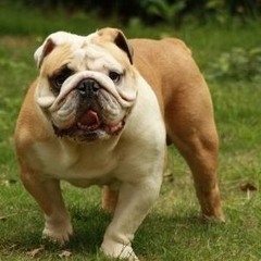 Jirosj - Paradisum (Extended Version)