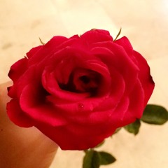 Closer by The Chainsmokers