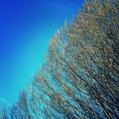 Autum-Chill