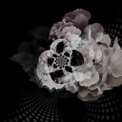 Molly Burbridge - Echoes (Monoman Rework)