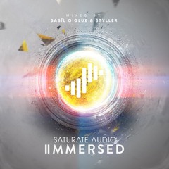 Evgeny Lebedev - Soul Button (Saturate Audio Immersed II Cut)