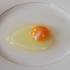 Egg Fried Ricin