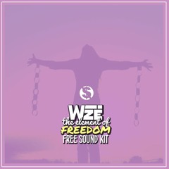 WIZE's FREE SOUND KIT <3 | track: spacebound