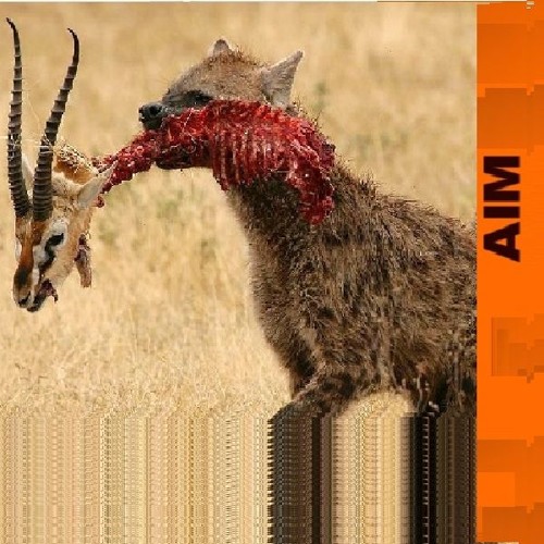 /\.I./\/\. ϟ MIXTAPE ϟ  M.I.A. (callmebybob edit)