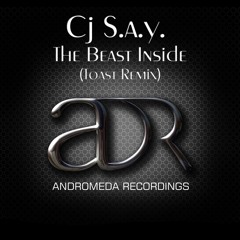 ADR310: CJ S.A.Y - The Beast Inside (Toast Remix)