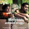 Poyi Maranju - Anuraga Karikkin Vellam - Chillout Remix - DJ DBK
