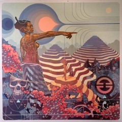 Breaking Down the Borders (Maia Balam vocal rework of Axiom Esti by Estray)