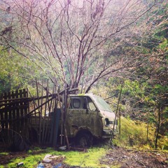 stay around -- light reflective