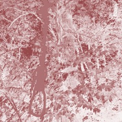 my scenery makes me cynical w/ J DUBB (prod. chrono)