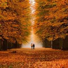 Kourosh Yaghmaei - Payiz (Autumn)