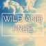 Wild And Free(prod By Guilly D)-dj guilly d feat stormy monroe