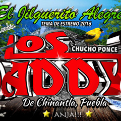 EL JILGUERITO ALEGRE - LOS DADDY'S DE CHINANTHLA (SONIDO PANCHO BROOKLYN NY) 2016-2017