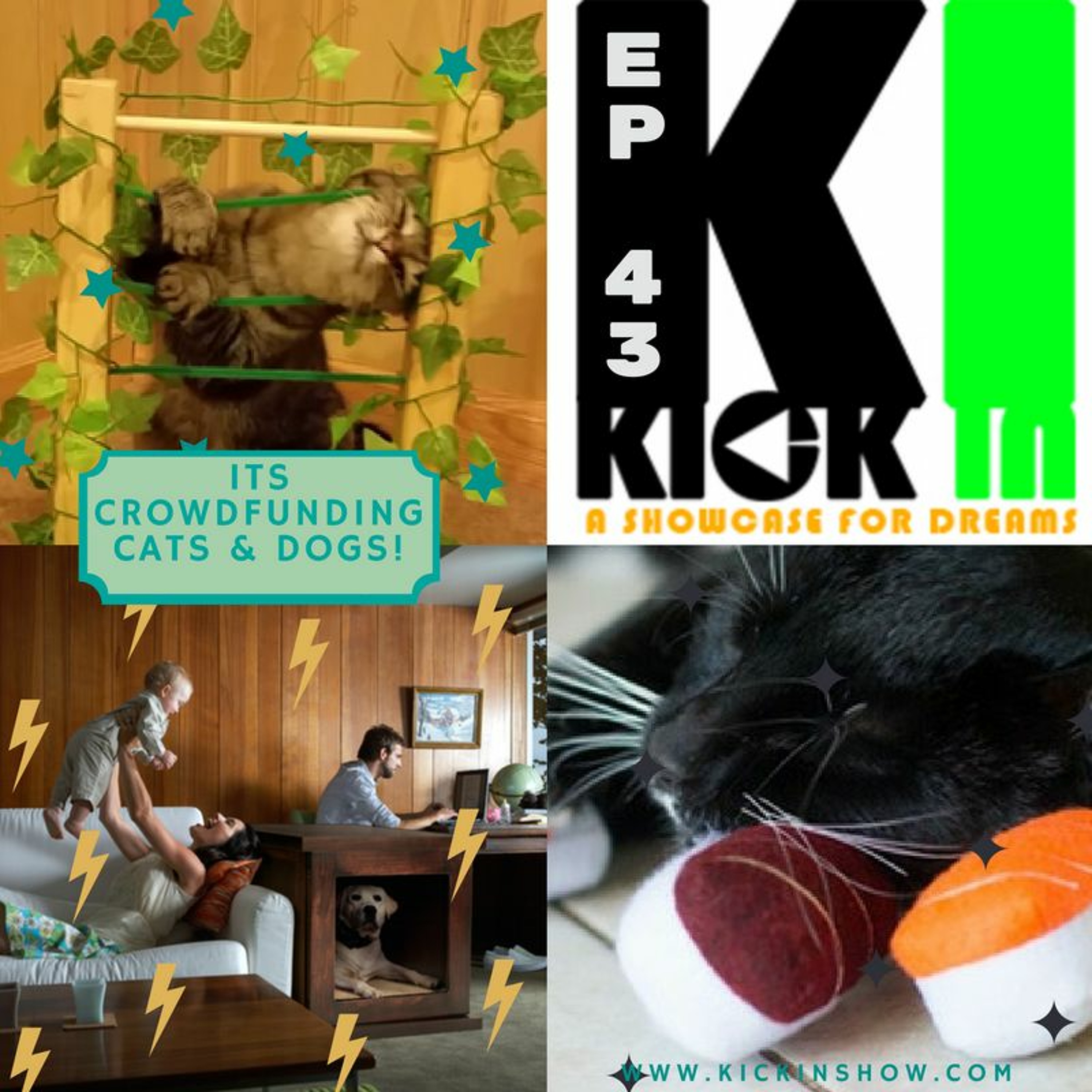Its Crowdfunding Cats and Dogs episode artwork