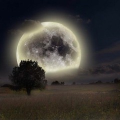 Live The Nites Ft. Yung King & Allykatt