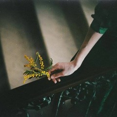 Marjan Vahdat - Rooted In You