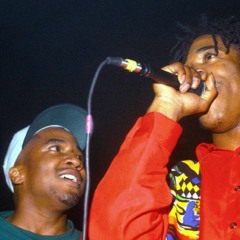 Busta Rhymes - Ill Vibe (feat. Q-Tip) [Beat Remix]