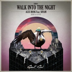 Alex Hook Feat. Shyam - Walk Into The Night (Original Mix)