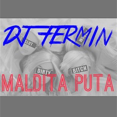 DJ FERMIN - MALDITA PUTA MIX