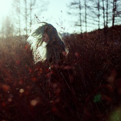 The Autumn Playlist (2016)